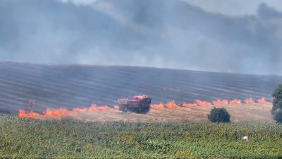 Yenişehir İlçesinde Kavaklı ile Karacaali Mahallesi arasındaki ormanlık alana yakın