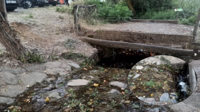 Özellikle yaz günlerinde binlerce ziyaretçiyi ağırlayan Nadır piknik alanında bulunan