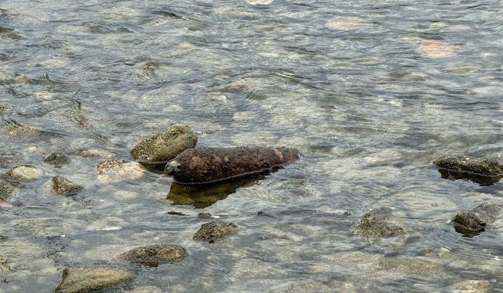Balıkçılar gölün içerisinde top mermisi buldu. Hangi döneme ait olduğu