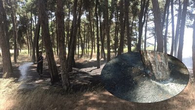 Orhangazi’de İznik gölü çamlık içindeki otluk alanda bir anda başlayan