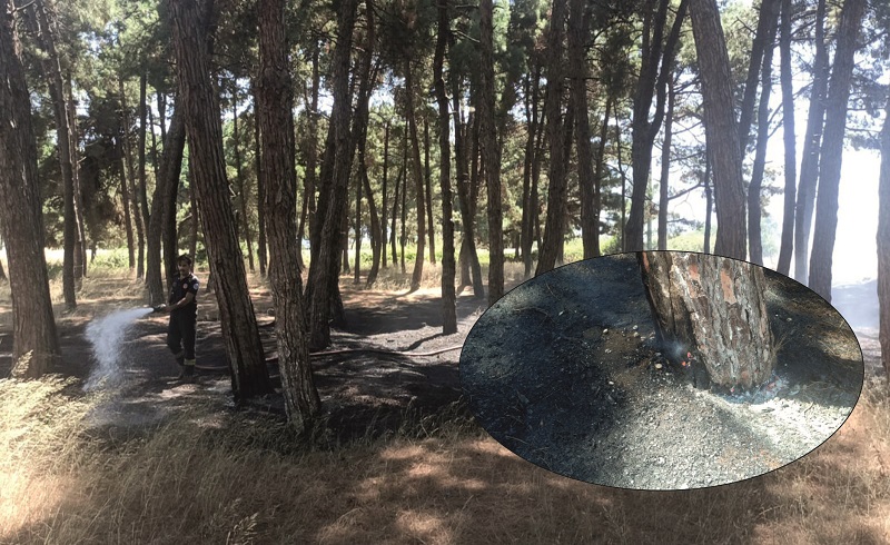 Orhangazi’de İznik gölü çamlık içindeki otluk alanda bir anda başlayan