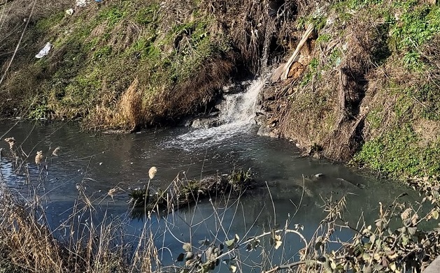 Orhangazi sınırları içinden akarak Gemlik’te körfeze karışan Karsak Deresinde, kirlilik