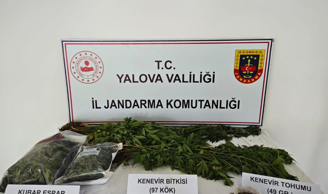 Yalova’da uyuşturucu yetiştirilen villaya düzenlenen operasyon sonucu 1 kişi tutuklanırken;