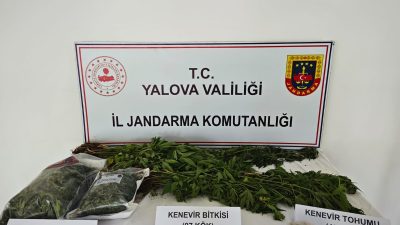 Yalova’da uyuşturucu yetiştirilen villaya düzenlenen operasyon sonucu 1 kişi tutuklanırken;