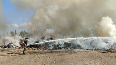 Orhangazi’de İznik Gölü sahilindeki otomobil yarış pistinin yanında bulunan ve