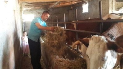 Orhangazi’de kırsal mahallelerde hayvancılık ile uğraşan vatandaşlar artan maliyetlere karşın