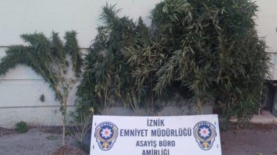  İznik ilçesinde Hint keneviri yetiştirdikleri iddia edilen 2 şüpheli,