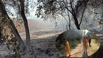 
Orhangazi’de İznik gölü kenarı çalılık alanda başlayan ve kısa sürede