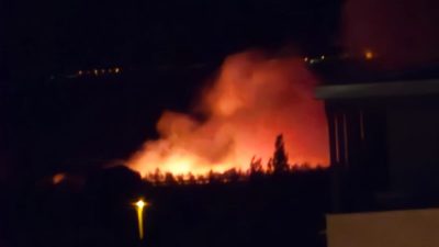 Orhangazi’de İznik yolu üzeri otoban kenarında içinde ağaçlarında olduğu otluk