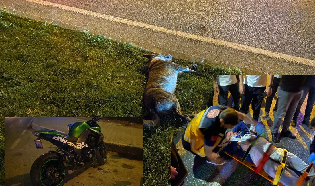Orhangazi’de ana yol üzerinde meydana gelen trafik kazasında, seyir halindeki