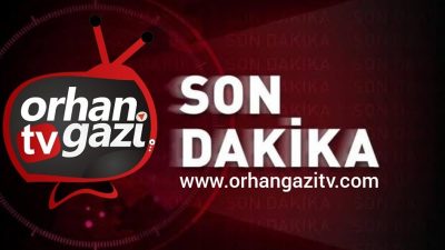 Türkiye’nin en büyük zeytin alım kooperatifi marmarabirlik tarafından yeni alım