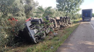 Orhangazi-İznik karayolu Keramet altı mevkiinde meydana gelen trafik kazasında piliç