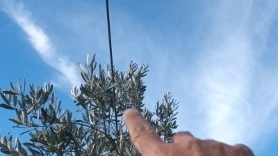 Orhangazi’de tarım arazilerinin içinden geçen ana elektrik hattını taşıyan beton