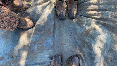 Sofralık zeytinde dünyanın en kaliteli zeytini olarak bilinen Bursa çevresinde