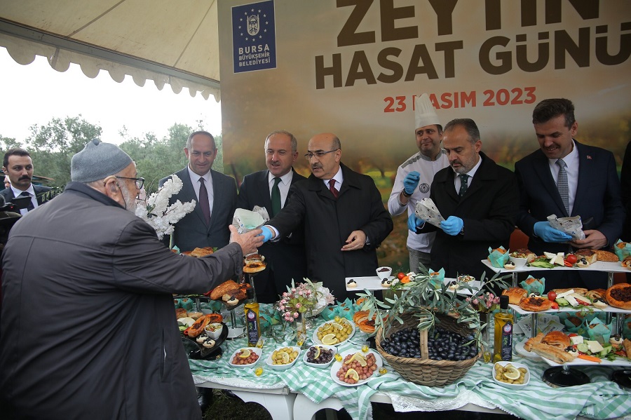 Hasadına bu günlerde yoğun