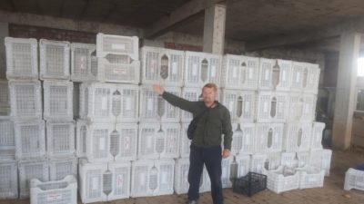 Marmarabirlik açıkladığı 125 liralık zeytin kilogram fiyatıyla üreticisinin yüzünü güldürüp