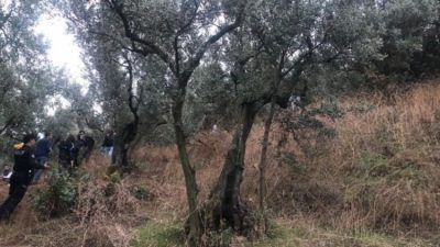  Kaybolduktan 47 gün sonra zeytin bahçesinde cesedi bulunan 22 yaşındaki