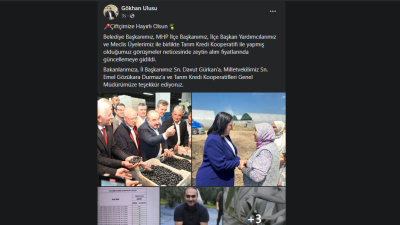 Tarım Kredi Kooperatifi daha önce açıkladığı  zeytin alım fiyatlarına gelen