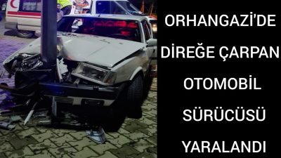 Orhangazi İznik Gölü Sahil Kenarında gece saatlerinde direksiyon hâkimiyetini kaybeden