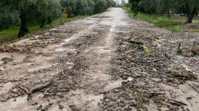 Her sağanak yağışta zeytin tarlalarından akan çamur ve toprak nedeniyle