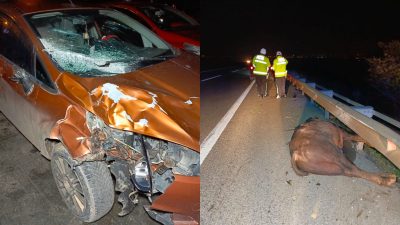 Bursa’nın Orhangazi ilçesinde meydana gelen trafik kazasında, ana yola fırlayan