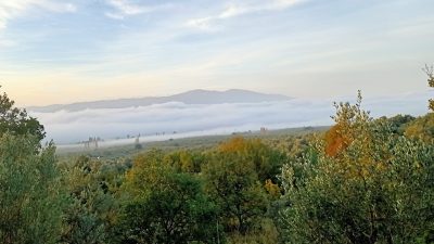 Bursa’nın Orhangazi ilçesinde sis, sabah saatlerinde etkisini arttırdı. Oluşan sis