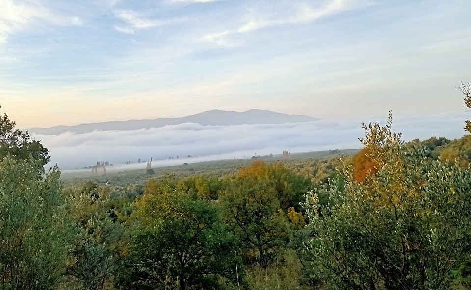 Bursa’nın Orhangazi ilçesinde sis,