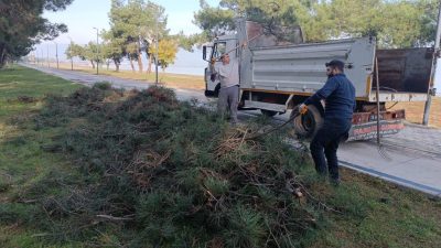 Orhangazi Belediyesi, şehir içinde ve çevresindeki budama çalışmaları sonrasında elde