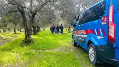 Orhangazi’de hasadına şu günlerde devam edilen zeytin için ilçe jandarma