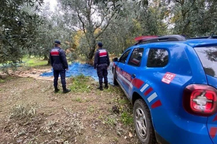 Orhangazi ve İznik bölgelerinde