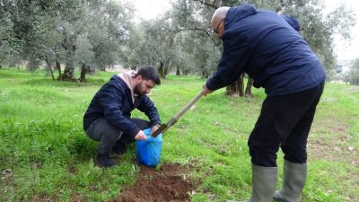 Gemlik Belediyesi başta zeytin üreticisi olmak üzere çiftçiler için kurduğu