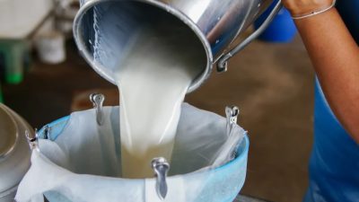Konuyla ilgili  yazılı açıklamada bulunan  Adana Çiftçiler Birliği Başkanı Mutlu