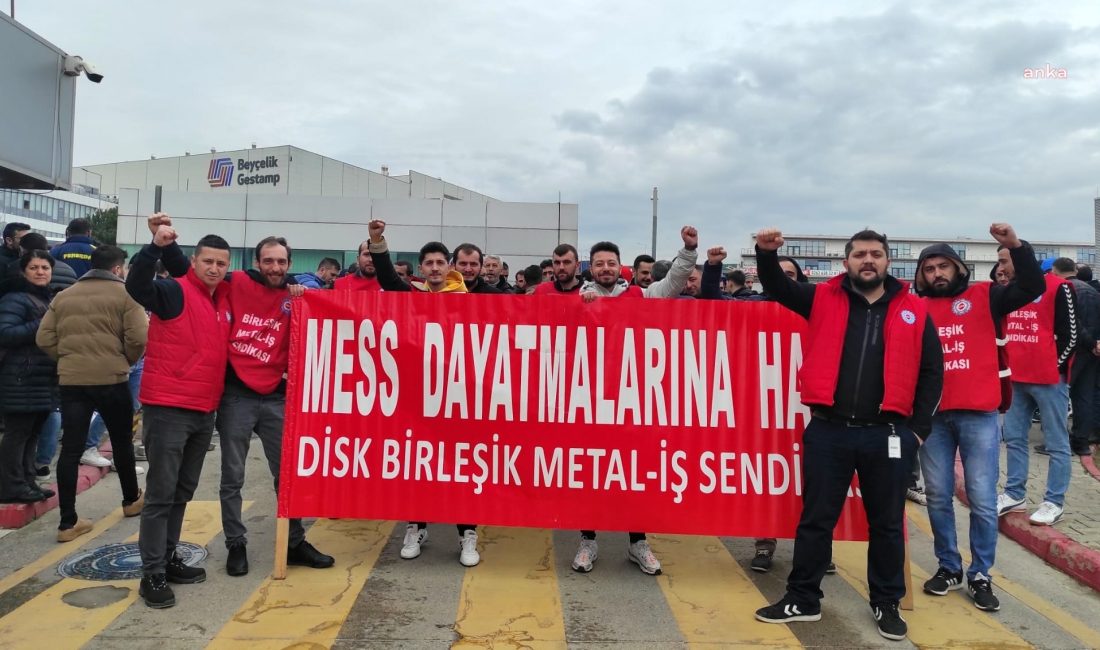 Birleşik Metal-İş, sendikası 19