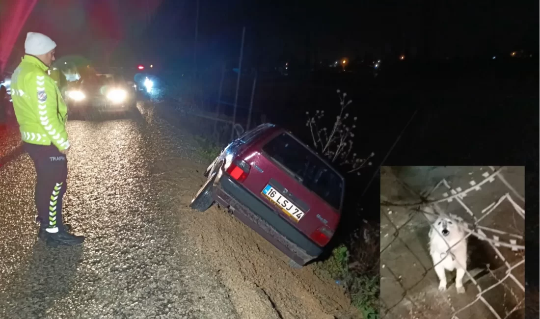 Bursa’nın Orhangazi ilçesinde meydana