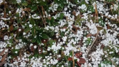 Bursa’da bu gece zaman zaman gök gürültülü graupel yağış görülebileceği