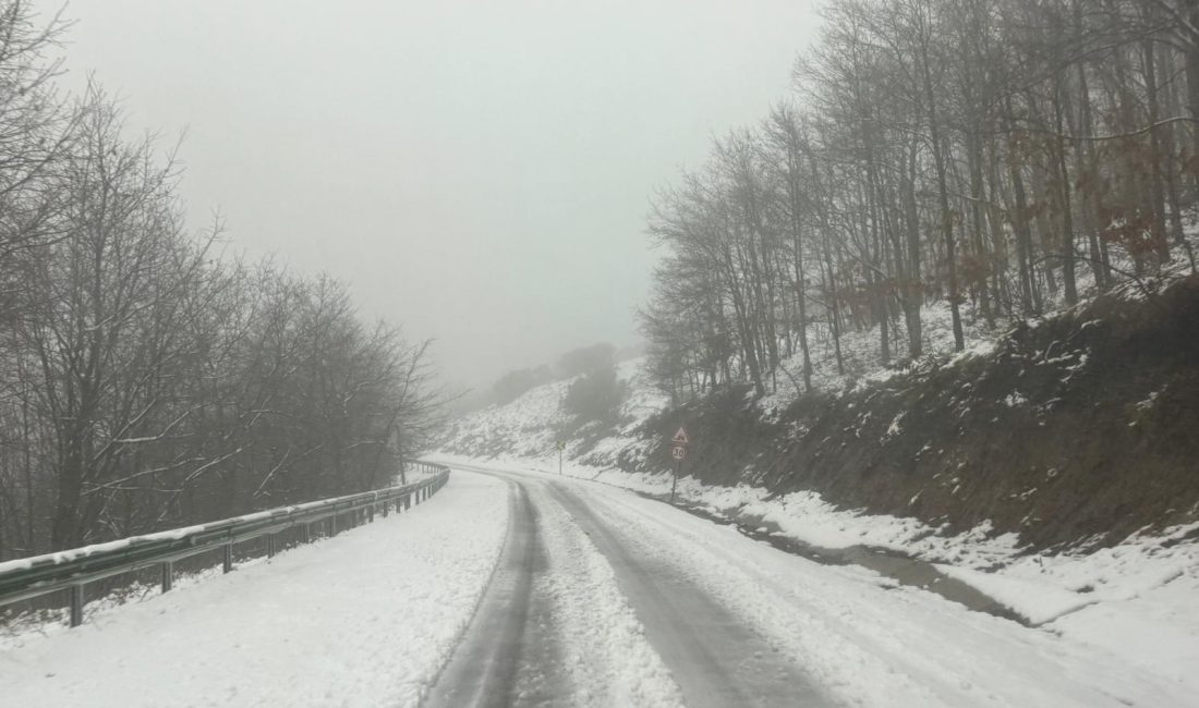 Bursa ve çevresinde iki