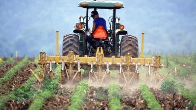 Geçen hafta başvuruları tamamlanan Çiftçi Kayıt Sistemi’nde Orhangazi’deki müracaat sayıları