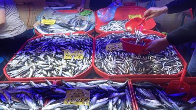 Bursa'da günlerdir havaların mevsim normallerinin üzerinde seyretmesine rağmen balık tezgahlarında