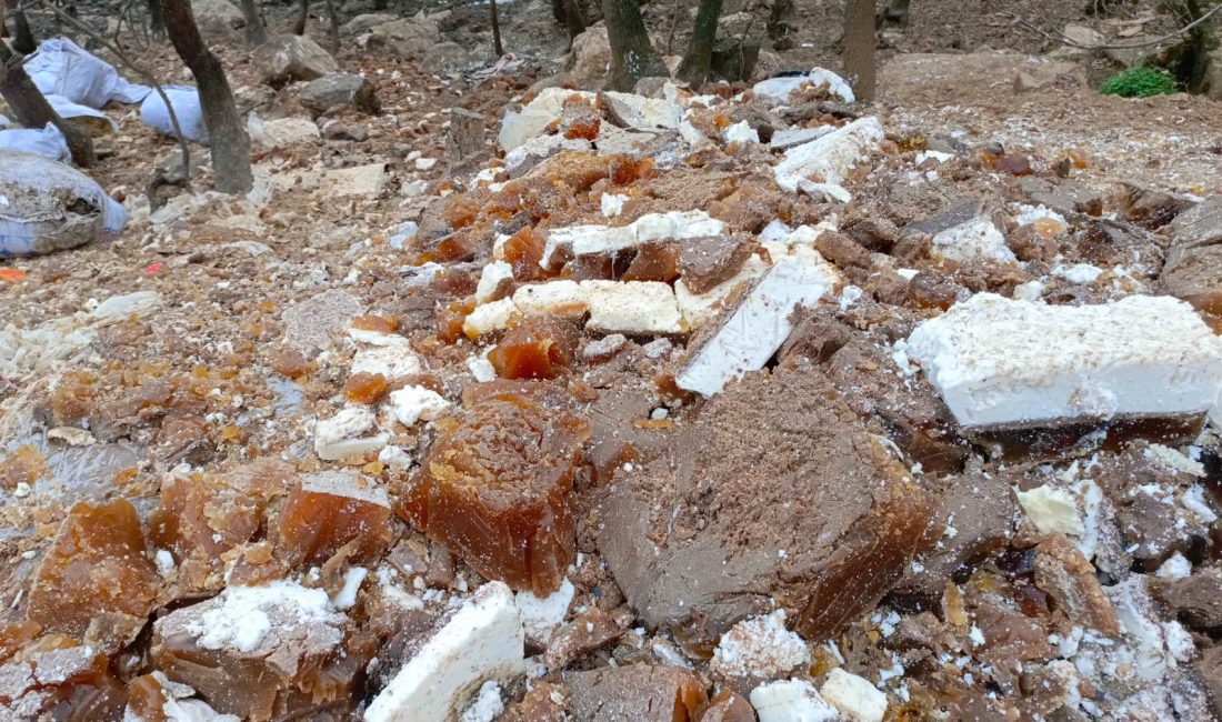 Bursa'nın Orhangazi ilçesinde ki