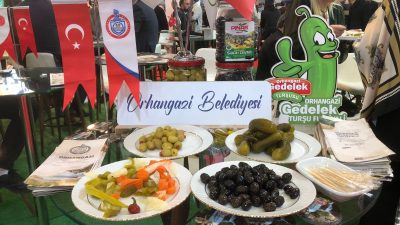 Orhangazi Belediyesi,  her yıl düzenlenen ve dünyanın en büyük 5