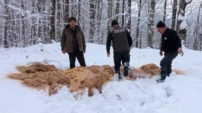 Tarım Orman Bakanlığı Doğa Koruma ve Milli Parklar Genel Müdürlüğü