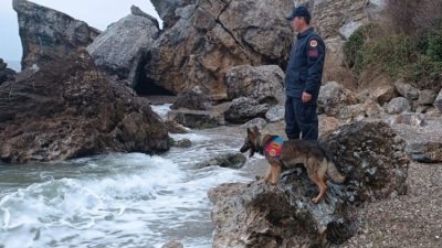 Marmara Denizi'nde, Bursa'nın Karacabey ilçesi açıklarında İmralı Adası'nın güneybatısında su