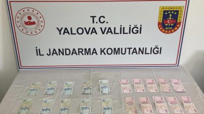 Yalova ve İstanbul’da jandarma tarafından düzenlenen eş zamanlı sahte para