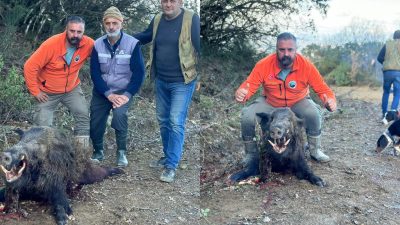 Bursa'nın Orhangazi ilçesinde domuz avına çıkan avcılar kulübü derneği üyeleri 