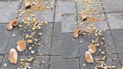 Bursa'nın merkez ve ilçelerinin meydanlarında görmeye alışık olduğumuz güvercinlerin beslenmesi