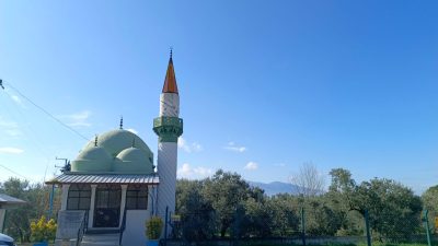 Bursa’nın Orhangazi ilçesinde ana yol kenarında bulunan bir zeytinlik, içinde