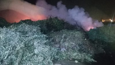 Bursa'nın Orhangazi ilçesinde dün akşam saatlerinde meydana gelen olayda çok