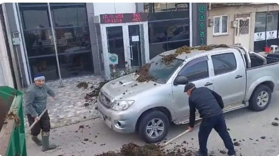 Bursa'nın Yenişehir ilçesinde emekli