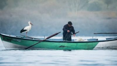 Bursa’nın Karacabey ilçesinde, balıkçı Adem Yılmaz ile kurduğu dostluk hikayesiyle