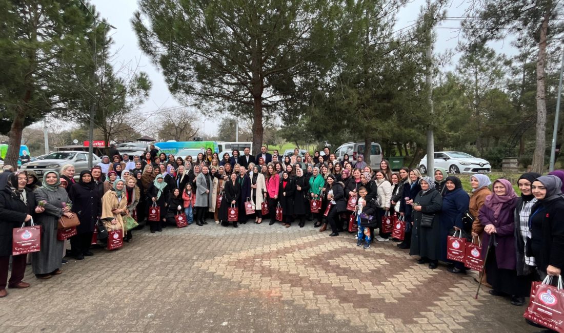 Orhangazi'nin bilinen sosyal mekânlarından